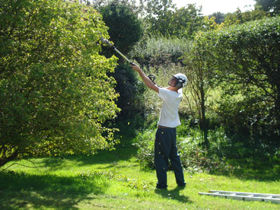 Gardening Services | Flat Cleaning Services London Ltd.